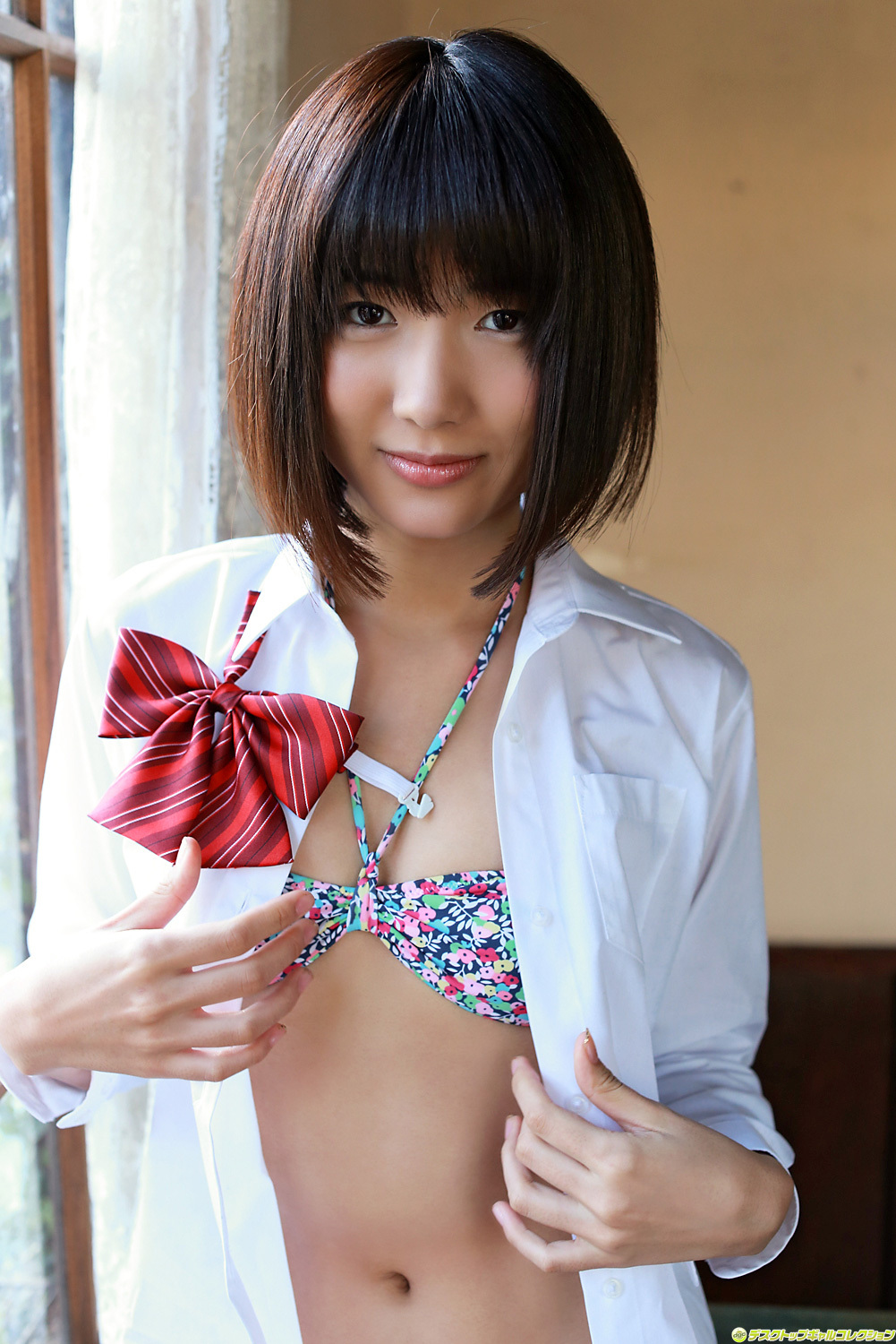 [DGC] 2013.12 no.1132 naoho Ichihashi